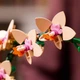 Конструктор LEGO Botanicals Мини орхидея 274 детали (10343) - изображение 6