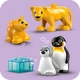 Конструктор LEGO DUPLO Town Сімейства диких тварин: Пінгвіни та Леви 10 деталей (10442) - зображення 8