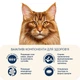 Сухой корм Home Food для стерилизованных кошек крупных пород Телятина с лососем и вялеными помидорами 10 кг - изображение 2