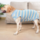 Післяопераційна попона Derby Blue Stripe, S - зображення 3
