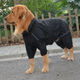 Комбінезон-дощовик для такс, коргі Derby Dog Suit Black D-S - зображення 3
