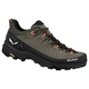 Кроссовки Salewa Alp Trainer 2 M 61402 7953 - 41 - коричневий (013.001.5633) - изображение 1
