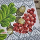 Набор для вышивания бисером ARHIBIS Свадебного рушника с калиной 30*220 см (8054) - изображение 5