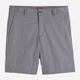 Шорты хлопковые короткие мужские H&M 061054323_grey 33 Светло-серые (6666000338952) - изображение 1