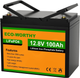 Аккумулятор Eco Worthy LiFePO4 12V 100Ah (1280Wh) со встроенным BMS, 3000+ циклов - изображение 1