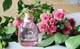 Парфумована Вода Lanvin Rumeur 2 Rose 50 мл - зображення 5