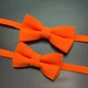 Набор 2 в 1 оранжевая классическая бабочка для отца и сына Gofin BNG-13001 - изображение 5