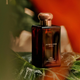 Одеколон унісекс Jo Malone Red Hibiscus Intense 50 мл (690251135134) - зображення 3