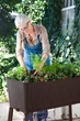 Грядка для растений Easy Grow, коричневая - изображение 10