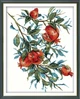 Набір для вишивання за нанесеною на канву схемою "Pomegranate". AIDA 11CT printed , 38*48 см - зображення 1