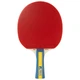 Набір для настільного тенісу Joola Team Master Pro 2 Bats 3 Balls (52001-1) - изображение 2