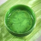 Лак декоративный перламутровый Tricolor акриловый Malachite 450 мл. - изображение 6