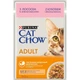 Вологий корм CAT CHOW Adult для дорослих котів шматочки в желе з лососем та зеленою квасолею 85 г - изображение 1