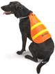 Жилет Remington Safety Vest для собак средний Оранжевый (76484082641) - изображение 1