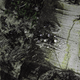Шарф-труба StormWall Sequoia (7362) - зображення 6