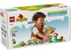 Конструктор LEGO DUPLO Творческий сад и цветы 45 элементов (10444) - изображение 9