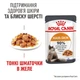 Корм Royal Canin Hair & Skin Care Jelly влажный для кошек с чувствительной кожей 85 гр - изображение 2