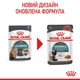 Корм Royal Canin Hairball Care влажный для вывода шерсти у взрослых котов 85 гр - изображение 3