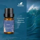 Ефірна олія Kinscoter Essential Oil Set 6 bottles, 6*10 мл - зображення 3