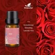 Ефірна олія Kinscoter Essential Oil Set 6 bottles, 6*10 мл - зображення 8