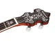 Банджо блюграс Richwood RMB-905-A - изображение 4