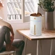 Увлажнитель воздуха с подсветкой Fog Humidifier 8496 Бело-золотой - изображение 5