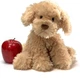 М'яка іграшка щеня GUND Designer Pups Collection Nayla Cockapoo Puppy Plush - зображення 3