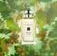 Одеколон унисекс Jo Malone English Oak & Hazelnut 100 мл - изображение 5