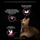 Purina Pro Plan Delicate набор влажного корма для кошек с чувствительным пищеварением 10x85г - изображение 5