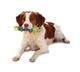 Іграшка для собак OutwardHound Petstages Cool Teething Stick, 21.5 см - зображення 2