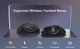 Мышь беспроводная, бесшумная с трекболом и аккумулятором JOMAA MT50 2,4G+Bluetooth - изображение 4