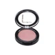 Рум'яна для обличчя Рожеві Stargazer Blusher №1 - зображення 1