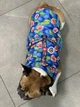 Курточка для собак WAUDOG Clothes, рисунок "Инжир", размер XS22 - изображение 7