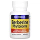 Натуральна добавка Enzymedica Berberine Phytosome, 60 капсул - зображення 1