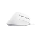 Мышка Trust Bayo II Ergonomic USB White (25397) - изображение 3