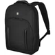 Рюкзак для ноутбука 14 Victorinox ALTMONT Professional/Black 612253 - изображение 1