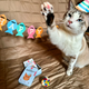 Набір для дня народження Kikkerland Happy Birthday Cat Tin для кота (0612615122093) - зображення 2