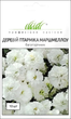 Семена Тысячелистник Маршмеллоу, птармика, 10 шт (Benary) - изображение 1