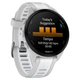 Смарт-годинник Garmin Forerunner 165 Music, Mist /stone, GPS [107628] - зображення 3