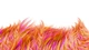 Игрушка интерактивная Hasbro Furby Коралловая (F6744) - изображение 10