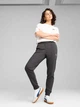 Спортивные штаны женские Puma Ess Sweatpants Tr Cl 68328407 L Dark Gray Heather (4067983619205) - изображение 3