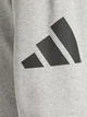 Спортивные штаны мужские Adidas M Bl Ft Pt JE8969 2XL Mgreyh/Black (4067902837222) - изображение 4
