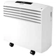 Кондиционер мобильный Olimpia Splendid DOLCECLIMA DOLCECLIMA EASY 10 P (OS-2058) - изображение 1