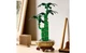 Конструктор Lego Botanicals Бамбук счастья, 325 деталей 10344 - изображение 7