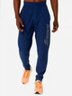 Спортивні штани чоловічі ASICS Logo Sweatpant 2031E189-404 XL Сині (4550457596756) - зображення 1