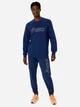 Спортивні штани чоловічі ASICS Logo Sweatpant 2031E189-404 XL Сині (4550457596756) - зображення 3