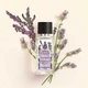 Парфумона вода Лаванда Calme Absolue / Кальм Абсолю, Essences Botaniques Yves Rocher, Ив Роше, 50 мл - изображение 2