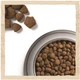 Сухий корм з ягням Purina Dog Chow Пуріна Дог Чао для дорослих собак 2,5 кг (7613034485946) - зображення 8