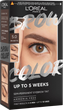 Набір для фарбування брів L'Oreal Paris Brow Tint 5.0 Brunette 15 мл (3600524135973) - зображення 1