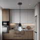 Чёрный подвес в стиле лофт "Modern Loft Light" (52-2019F-1 BK+BK) - изображение 2
